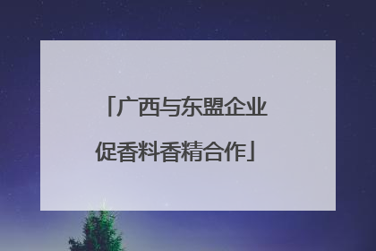 广西与东盟企业促香料香精合作