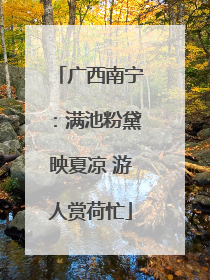 广西南宁：满池粉黛映夏凉 游人赏荷忙