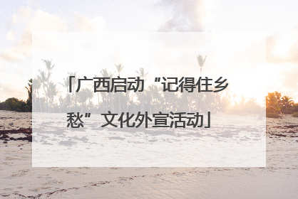 广西启动“记得住乡愁”文化外宣活动