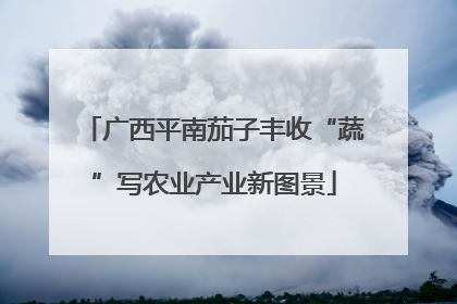 广西平南茄子丰收“蔬”写农业产业新图景