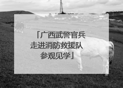 广西武警官兵走进消防救援队参观见学