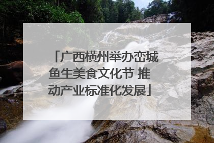 广西横州举办峦城鱼生美食文化节 推动产业标准化发展
