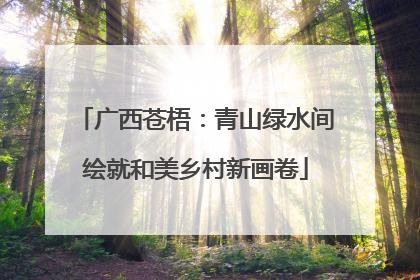 广西苍梧：青山绿水间绘就和美乡村新画卷