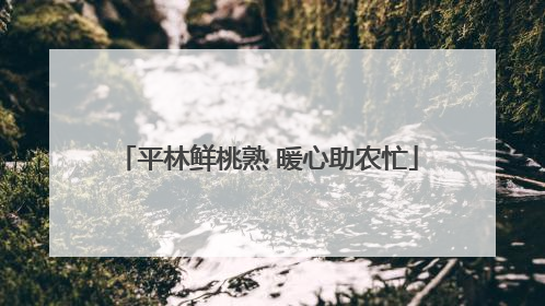 平林鲜桃熟 暖心助农忙