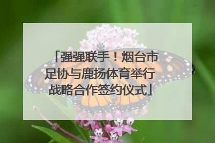 强强联手！烟台市足协与鹿扬体育举行战略合作签约仪式