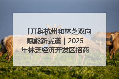 开辟杭州和林芝双向赋能新赛道｜2025年林芝经济开发区招商引资（杭州）推介展销活动在杭举办
