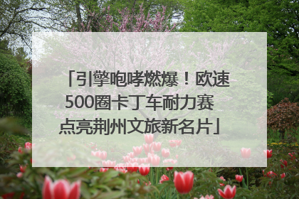 引擎咆哮燃爆！欧速500圈卡丁车耐力赛点亮荆州文旅新名片
