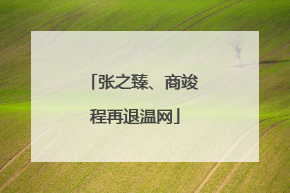 张之臻、商竣程再退温网