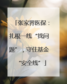 张家界医保：扎根一线“找问题”，守住基金“安全线”
