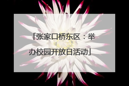 张家口桥东区：举办校园开放日活动