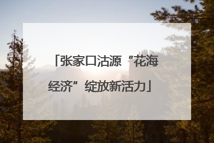 张家口沽源“花海经济”绽放新活力