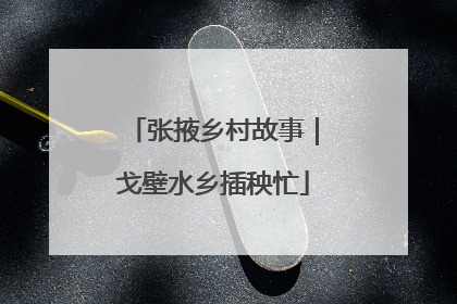 张掖乡村故事｜戈壁水乡插秧忙