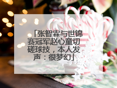 张智霖与世锦赛冠军赵心童切磋球技，本人发声：很梦幻