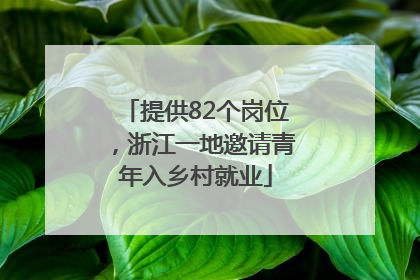 提供82个岗位，浙江一地邀请青年入乡村就业