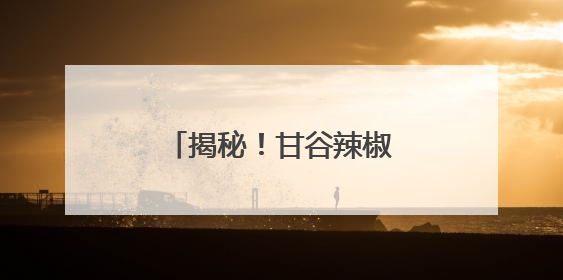 揭秘！甘谷辣椒火爆出圈的密码