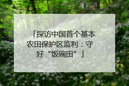 探访中国首个基本农田保护区监利：守好“饭碗田”