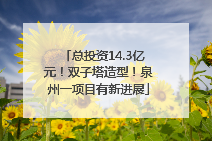 总投资14.3亿元！双子塔造型！泉州一项目有新进展