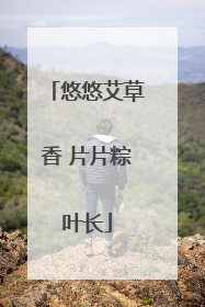 悠悠艾草香 片片粽叶长
