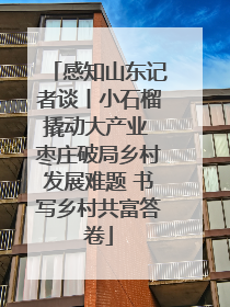 感知山东记者谈丨小石榴撬动大产业 枣庄破局乡村发展难题 书写乡村共富答卷