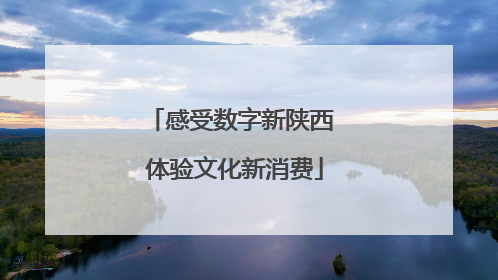 感受数字新陕西 体验文化新消费