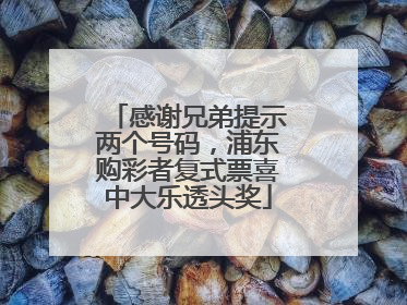 感谢兄弟提示两个号码，浦东购彩者复式票喜中大乐透头奖