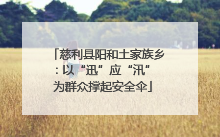慈利县阳和土家族乡：以“迅”应“汛” 为群众撑起安全伞
