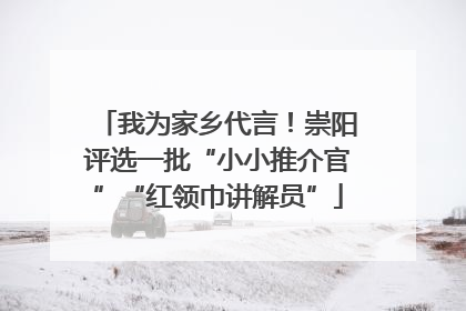 我为家乡代言！崇阳评选一批“小小推介官”“红领巾讲解员”