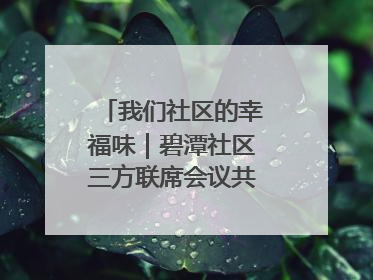 我们社区的幸福味｜碧潭社区三方联席会议共建紫岫幸福家