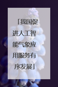 我国促进人工智能气象应用服务有序发展