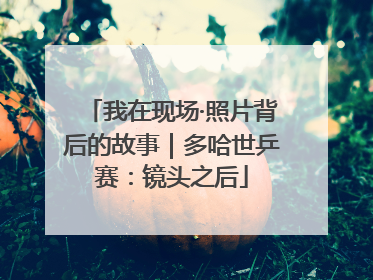 我在现场·照片背后的故事｜多哈世乒赛：镜头之后