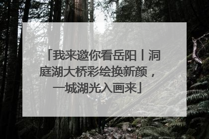 我来邀你看岳阳丨洞庭湖大桥彩绘换新颜，一城湖光入画来