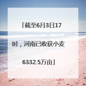 截至6月3日17时，河南已收获小麦6332.5万亩