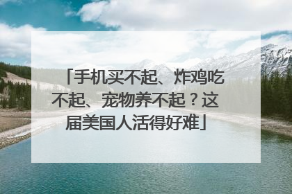 手机买不起、炸鸡吃不起、宠物养不起？这届美国人活得好难