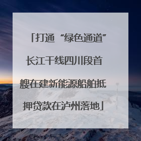 打通“绿色通道” 长江干线四川段首艘在建新能源船舶抵押贷款在泸州落地