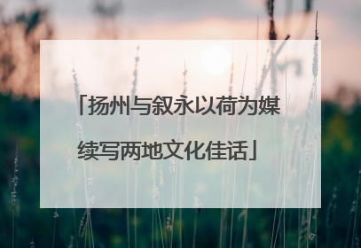扬州与叙永以荷为媒续写两地文化佳话