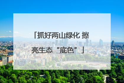 抓好两山绿化 擦亮生态“底色”