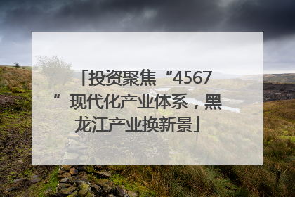 投资聚焦“4567”现代化产业体系，黑龙江产业换新景