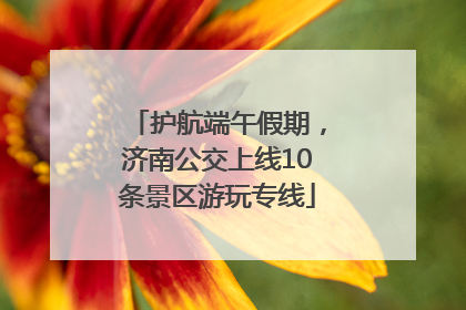 护航端午假期，济南公交上线10条景区游玩专线