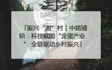 振兴“湘”村｜中路铺镇：科技赋能“金蛋产业” 全链驱动乡村振兴