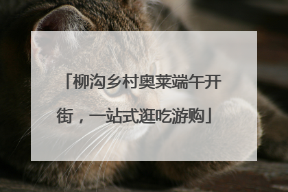 柳沟乡村奥莱端午开街，一站式逛吃游购