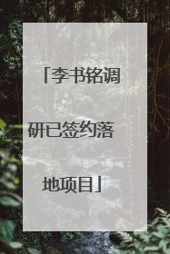李书铭调研已签约落地项目