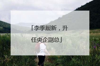 李季履新，升任央企副总