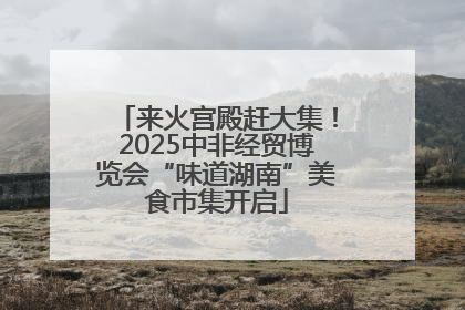 来火宫殿赶大集！2025中非经贸博览会“味道湖南”美食市集开启