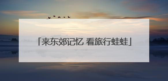 来东郊记忆 看旅行蛙蛙