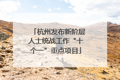 杭州发布新阶层人士统战工作“十个一”重点项目