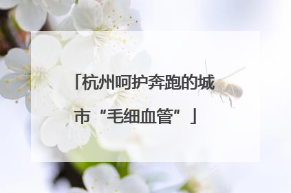 杭州呵护奔跑的城市“毛细血管”