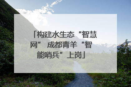 构建水生态“智慧网” 成都青羊“智能哨兵”上岗