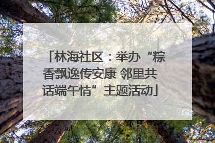 林海社区：举办“粽香飘逸传安康 邻里共话端午情”主题活动