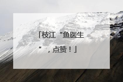枝江“鱼医生”，点赞！
