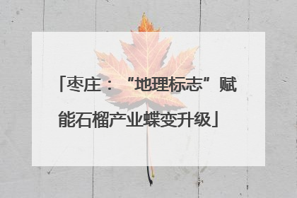 枣庄：“地理标志”赋能石榴产业蝶变升级